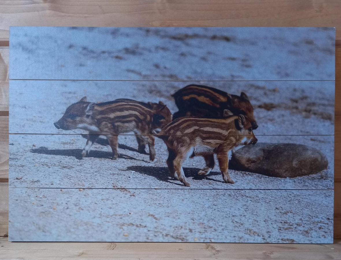 'T Zwientje เออร์เมโล ภายนอก รูปภาพ